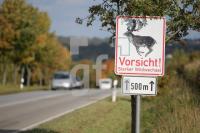JK12_Wildwechsel01_0169.JPG