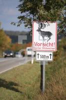 JK12_Wildwechsel02_0166.JPG