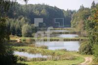 JK24_Teich01_0125.JPG