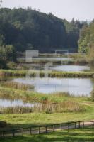 JK24_Teich02_0130.JPG