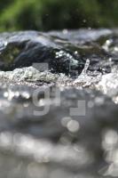 JL09_Wasser02_0115.jpg