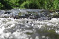 JL09_Wasser03_0136.jpg