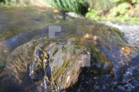 JL09_Wasser20_0168.jpg