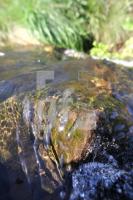 JL09_Wasser21_0172.jpg