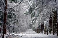 KD10_Winter07_0120.JPG