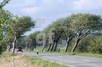 KG06_Windflucht06_0166.JPG
