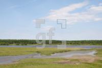 KG30_KatingerWatt09_0184.JPG