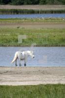 KG30_KatingerWatt13_0104.JPG