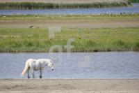 KG30_KatingerWatt14_0115.JPG