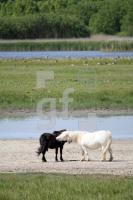 KG30_KatingerWatt16_0136.JPG