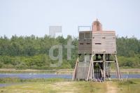 KG30_KatingerWatt17_0144.JPG