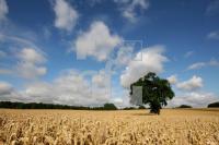 KJ03_Feld04_0197.JPG
