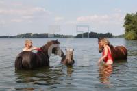 KJ23_Pferd02_0123.JPG