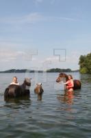 KJ23_Pferd04_0141.JPG