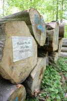 LG05_Holz03_0162.JPG