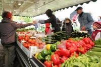LG16_Landmarkt01_0152.JPG
