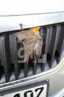 LL01_VogelX_0718.jpg