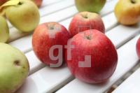 LL03_Apfel08_0143.JPG
