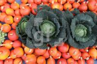 LL03_Wochenmarkt07_0149.JPG