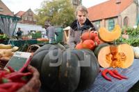 LL03_Wochenmarkt21_8895.JPG