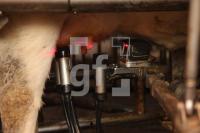 LM25_Roboter05_0127.JPG