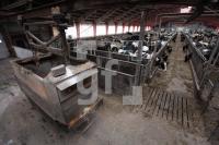 LM25_Roboter12_0101.JPG