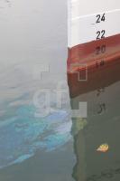 MD24_Oel_0145.jpg