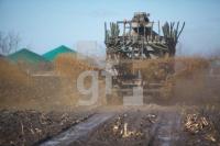 ME28_Guelle06_0174.JPG