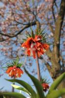 MF20_Garten03_0127.JPG