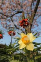 MF20_Garten06_0100.JPG