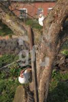 MF20_Garten09_0137.JPG