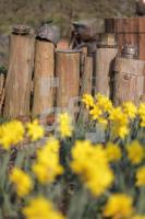 MF20_Garten10_0132.JPG