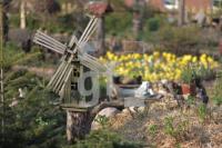 MF20_Garten13_0119.JPG