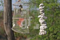 MF20_Garten15_0116.JPG