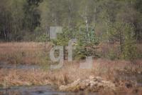 MF21_E-Rad01_0187.JPG