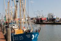 MF22_Buesum05_1300.jpg