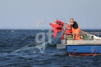 MF23_Fisch05_0197.JPG