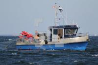 MF23_Fisch06_0183.JPG