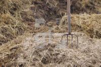 MG18_Land24_0142.JPG