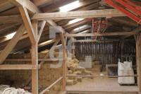 MG18_Land28_0110.JPG
