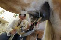 MH28_Stutenmilch01_0141.JPG