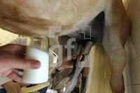 MH28_Stutenmilch05_0196.JPG