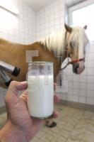 MH28_Stutenmilch12_0188.JPG