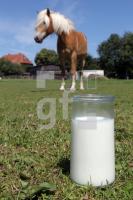 MH28_Stutenmilch21_0105.JPG