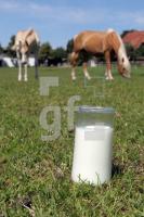 MH28_Stutenmilch35_0147.JPG