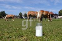 MH28_Stutenmilch37_0102.JPG