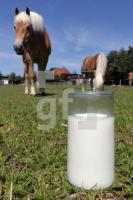 MH28_Stutenmilch45_0158.JPG