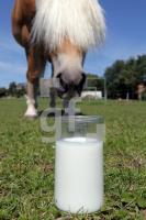 MH28_Stutenmilch46_0178.JPG