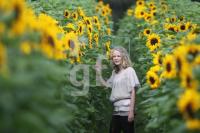 MI11_Sonnenblumen08_0145.JPG