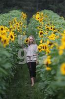 MI11_Sonnenblumen11_0107.JPG
